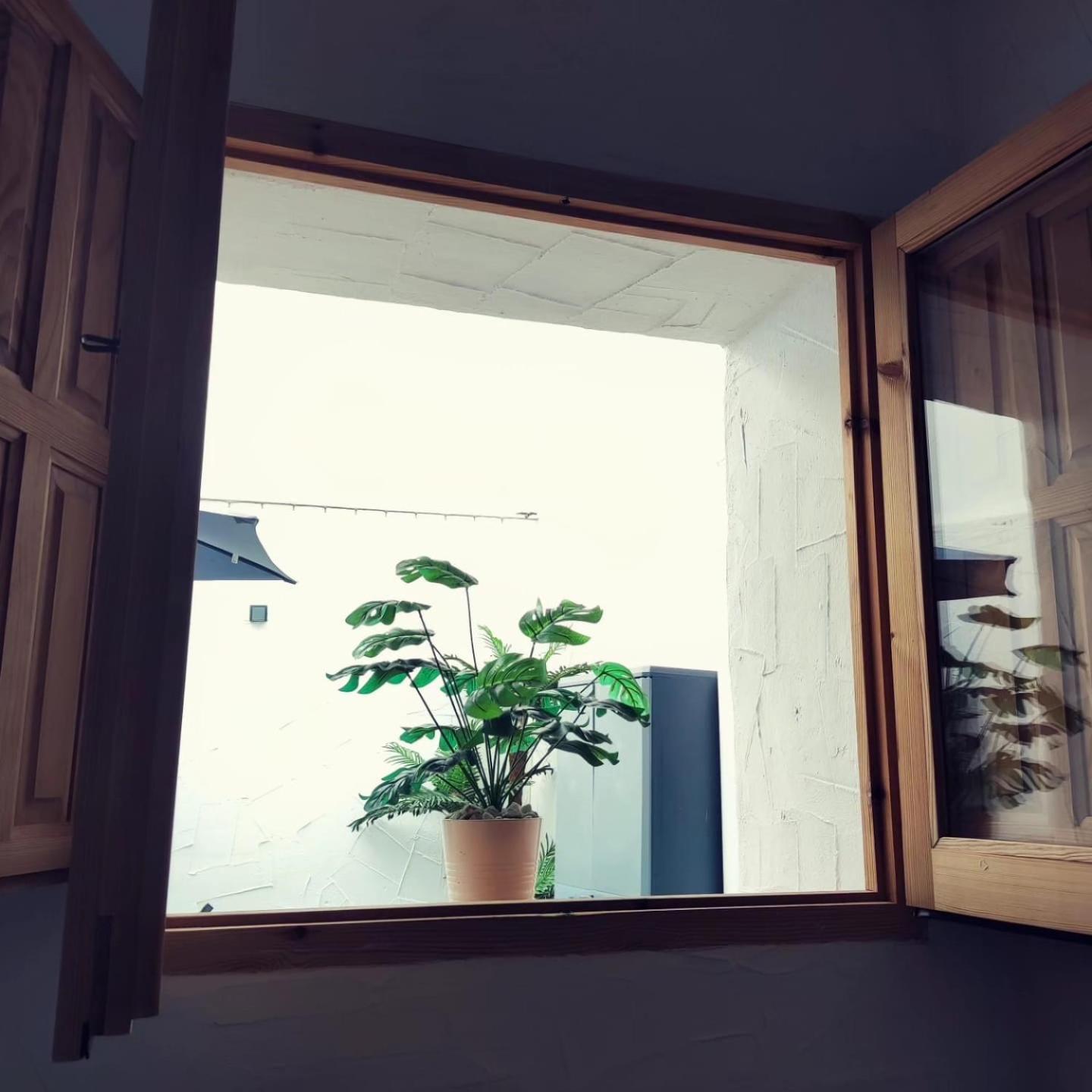 Apartamento La Lola - Patio Privado Jerez de la Frontera Buitenkant foto